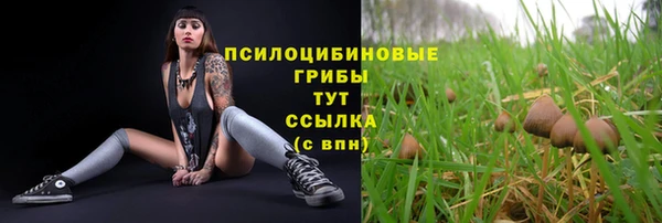 марки nbome Абаза